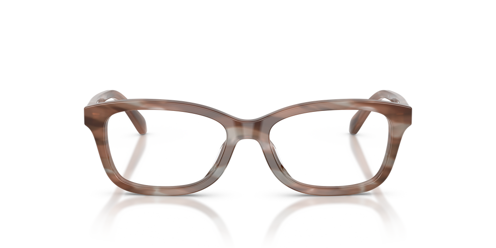 Coach HC6275U Rectangle Eyeglasses - Striated Maple Blueberry