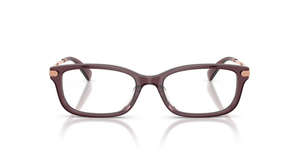 Coach HC6287U Rectangle Eyeglasses - Transparent Champagne