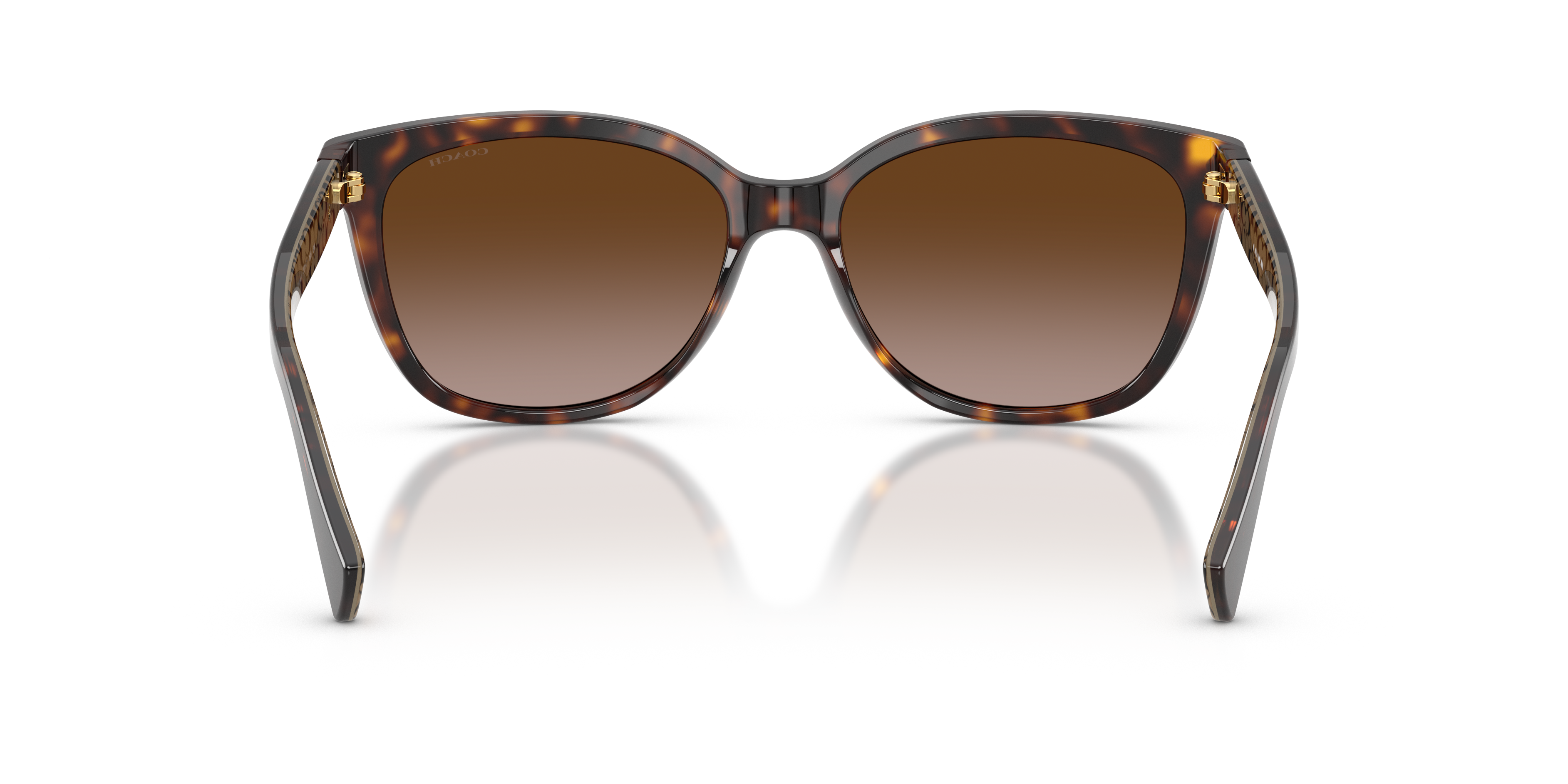 Coach HC8132 L109 Cat Eye Sunglasses