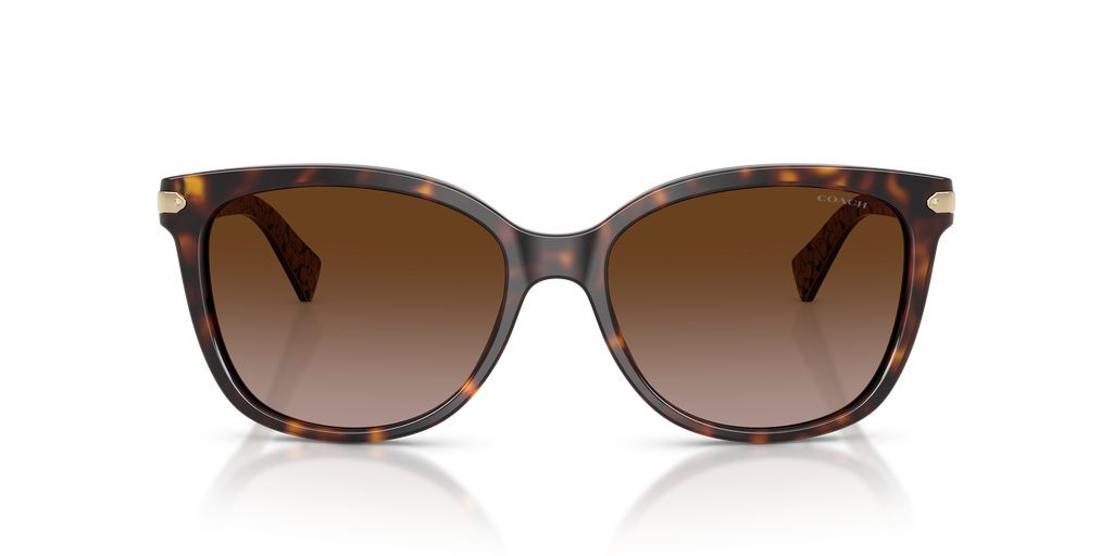 Coach HC8132 L109 Cat Eye Sunglasses