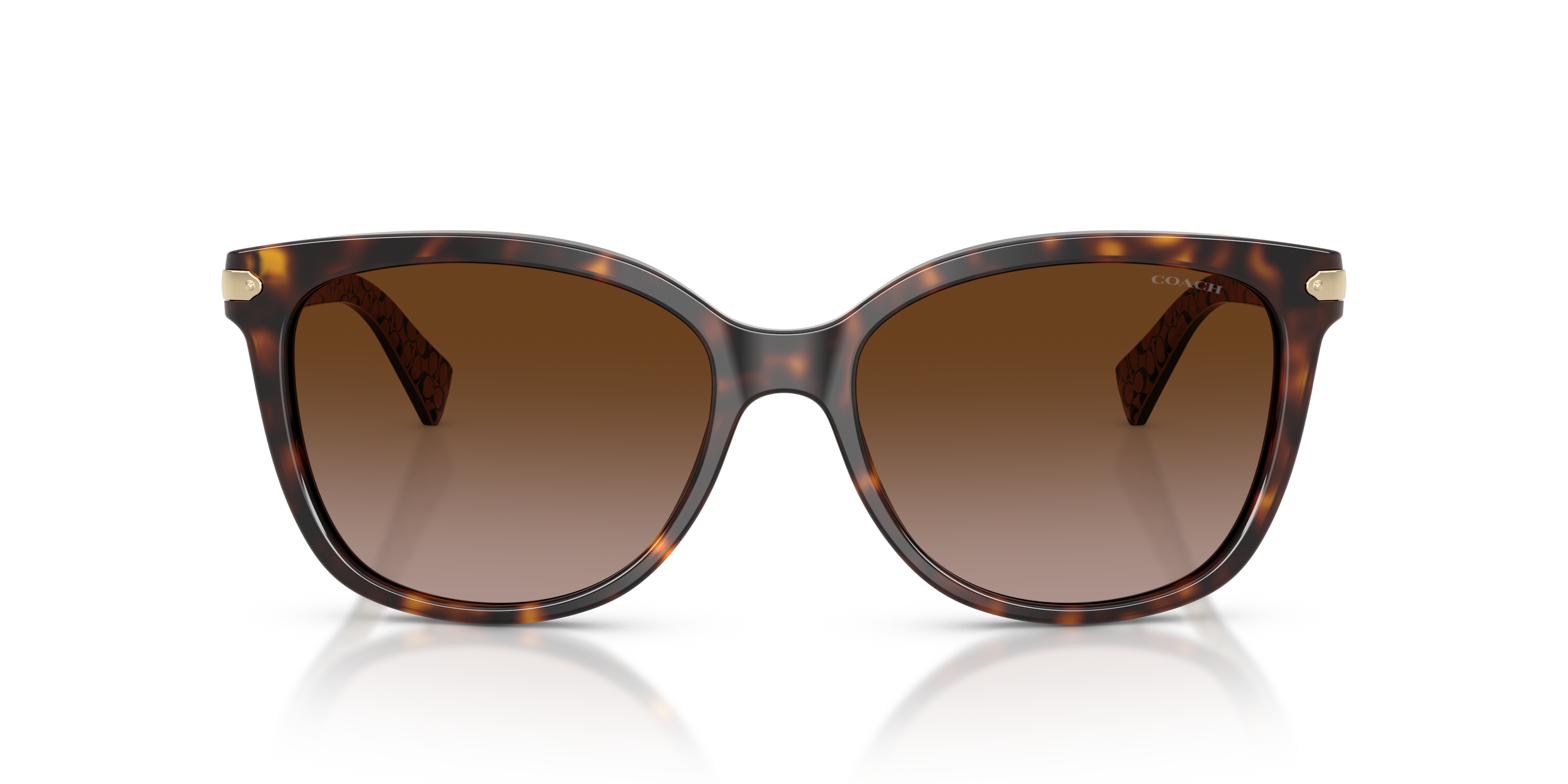 Coach HC8132 L109 Cat Eye Sunglasses
