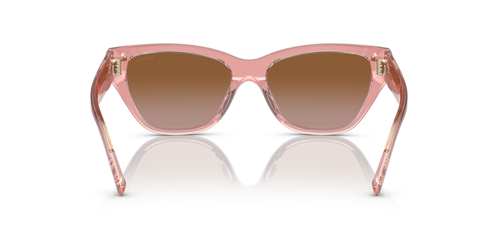 Coach HC8370U CH570 Cat Eye Sunglasses