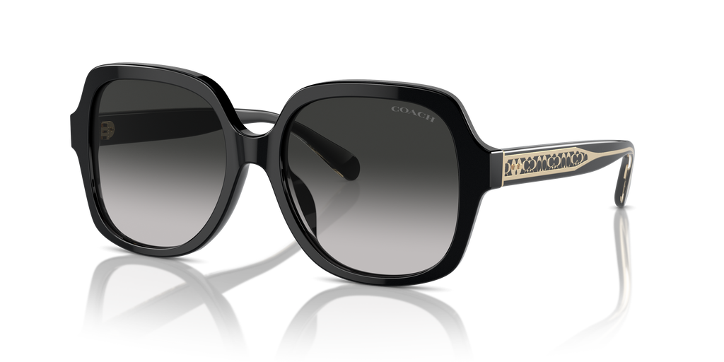 Coach HC8395U CR614 Square Sunglasses - Black