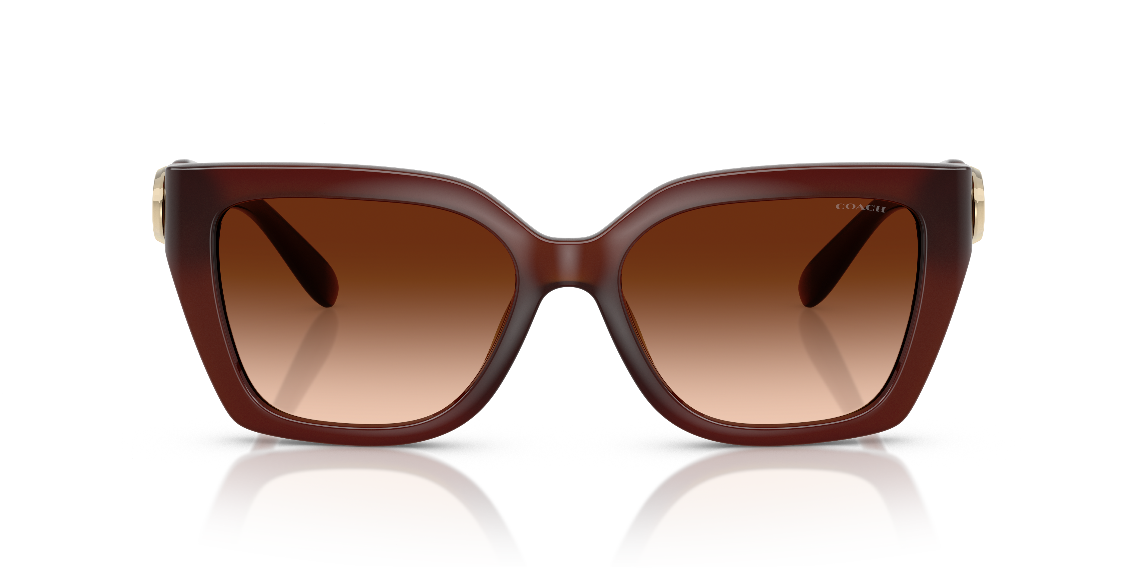 Coach HC8408U CW195 Square Sunglasses - Milky Hazelnut