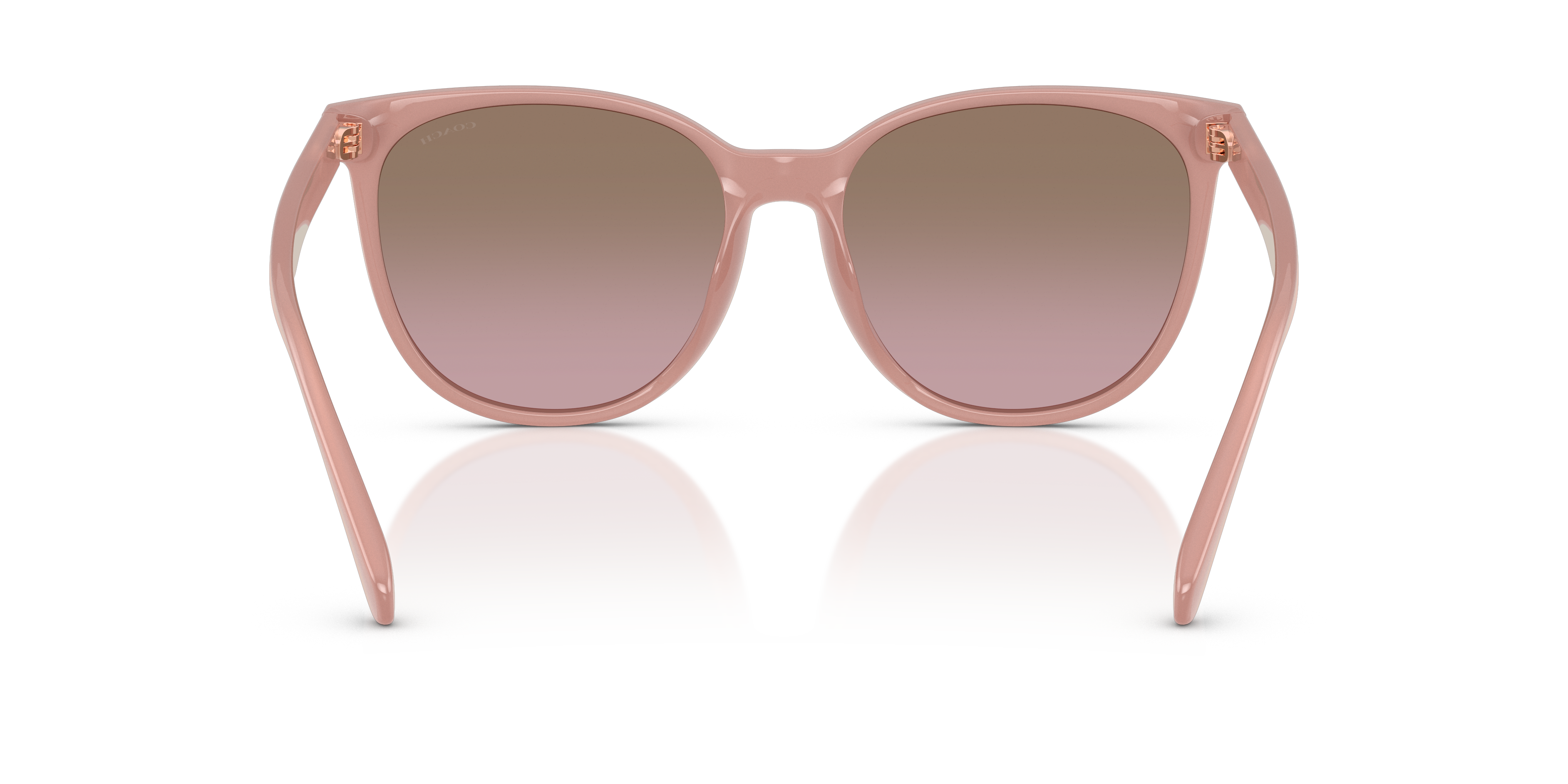 Coach HC8414BD CW428 Round Sunglasses - Milky Buff