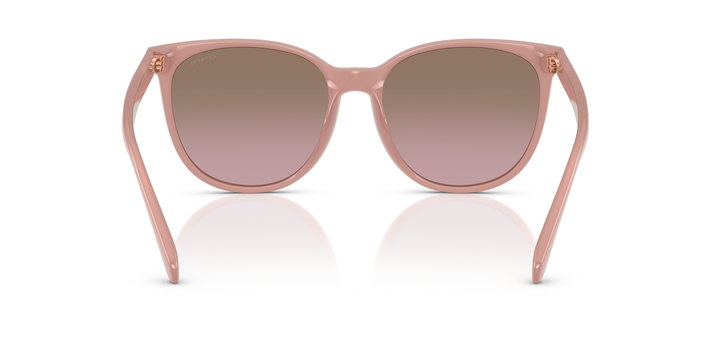 Coach HC8414BD CW428 Round Sunglasses - Milky Amber