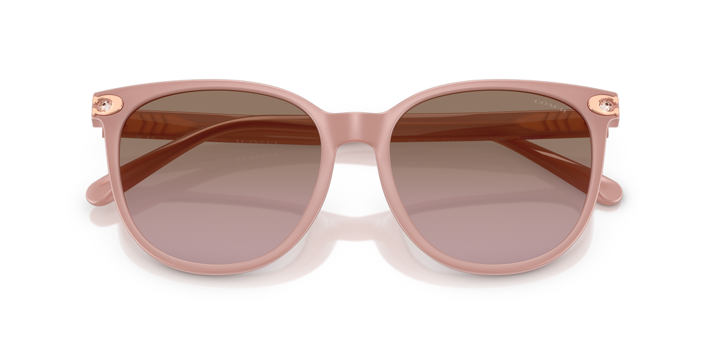Coach HC8414BD CW428 Round Sunglasses - Milky Amber