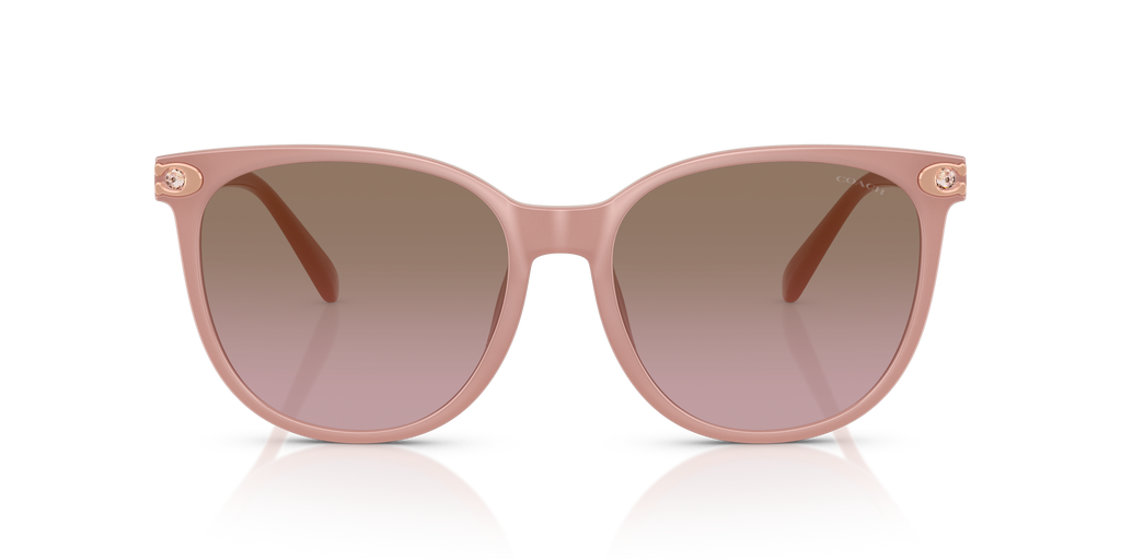 Coach HC8414BD CW428 Round Sunglasses - Milky Buff