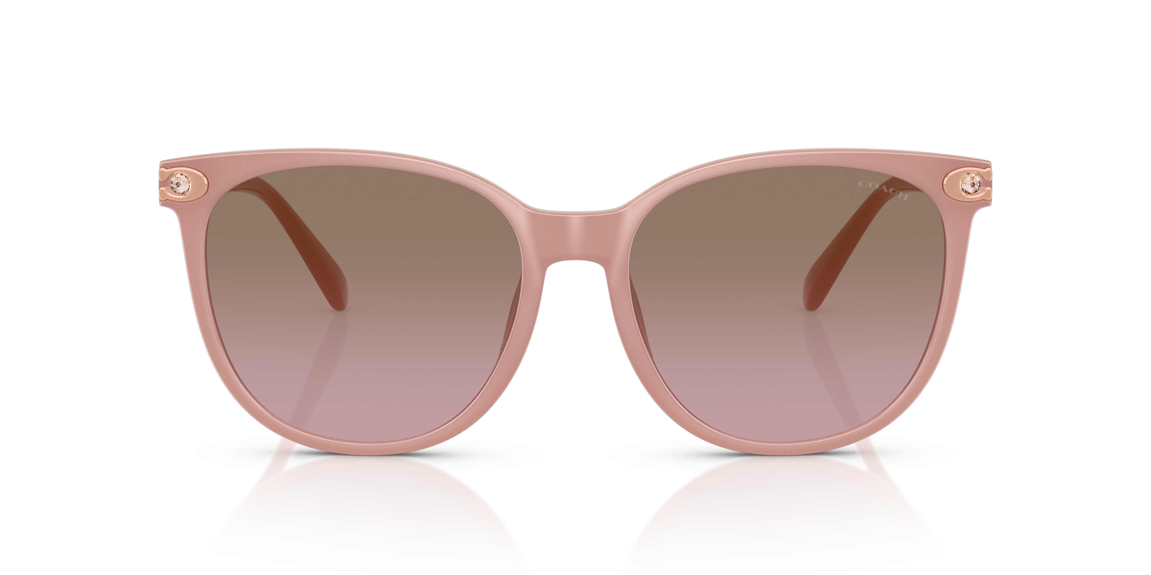 Coach HC8414BD CW428 Round Sunglasses - Milky Buff
