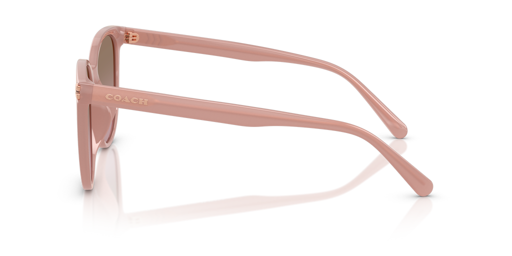 Coach HC8414BD CW428 Round Sunglasses - Milky Buff