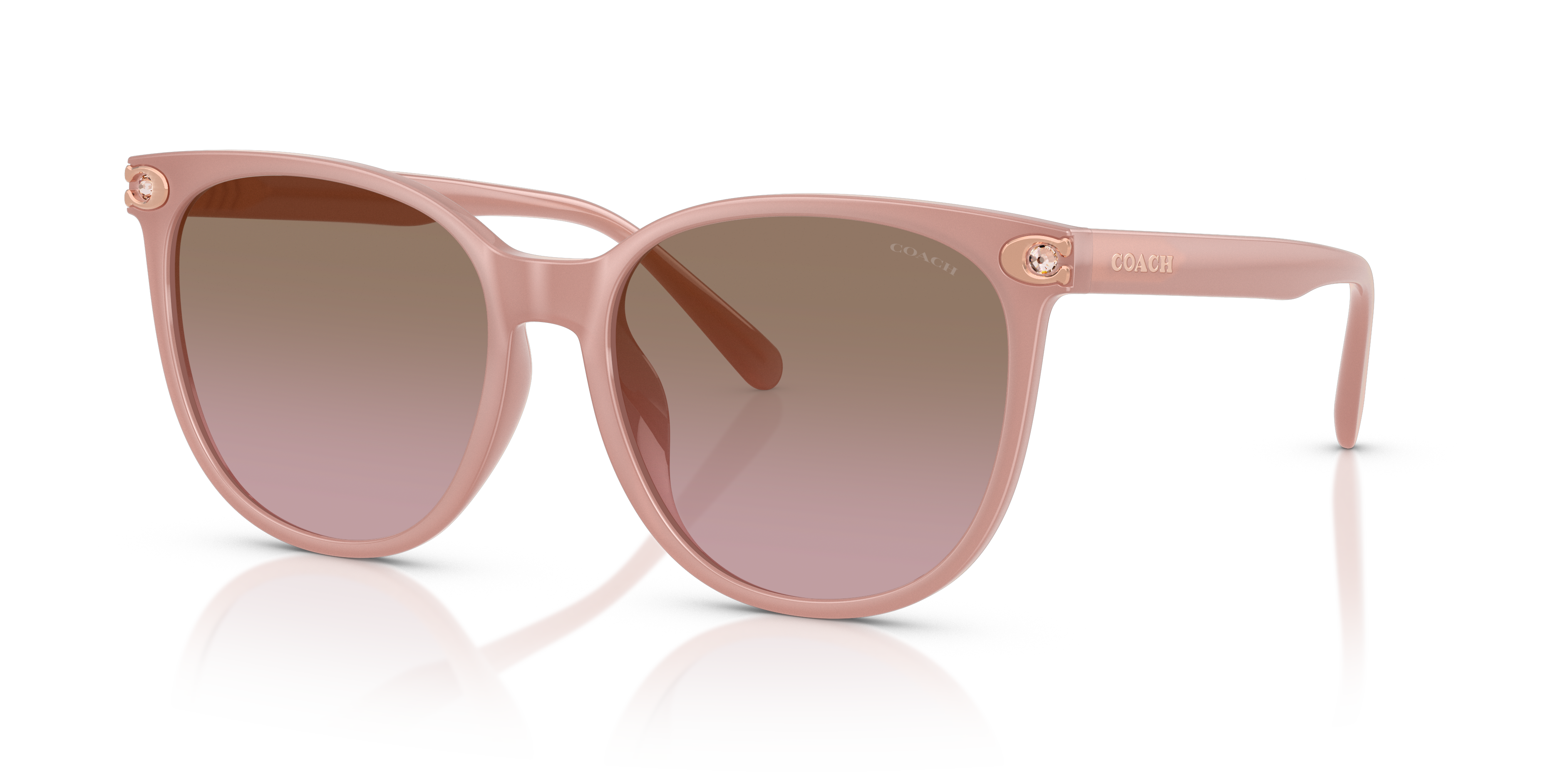 Coach HC8414BD CW428 Round Sunglasses - Milky Amber