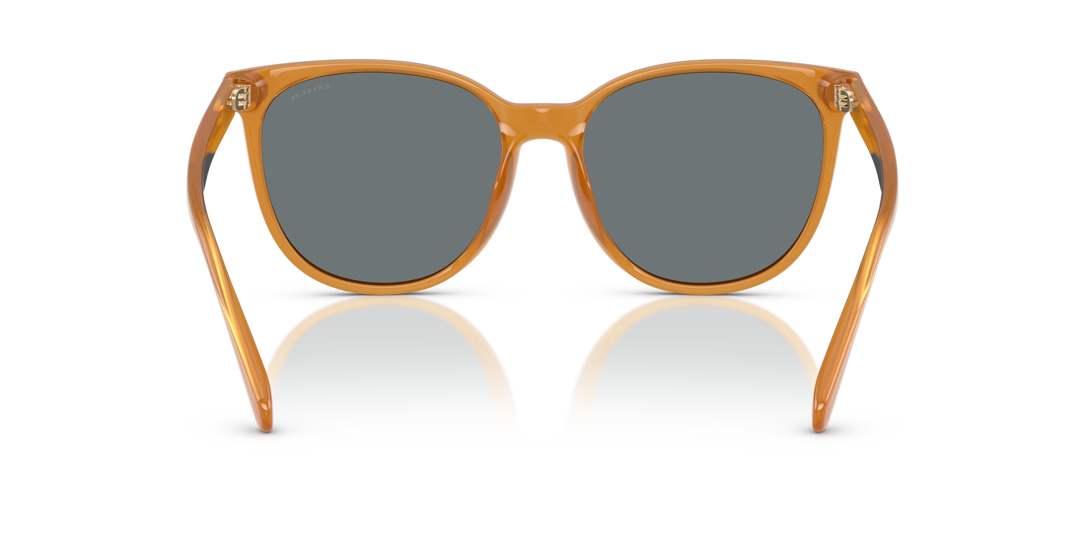 Coach HC8414BD CW428 Round Sunglasses - Milky Amber