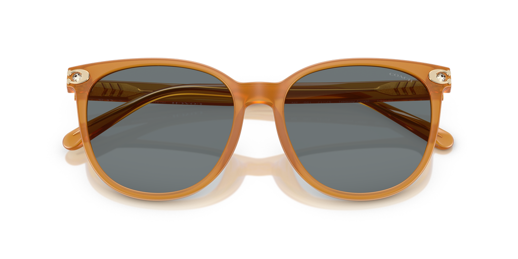Coach HC8414BD CW428 Round Sunglasses - Milky Buff