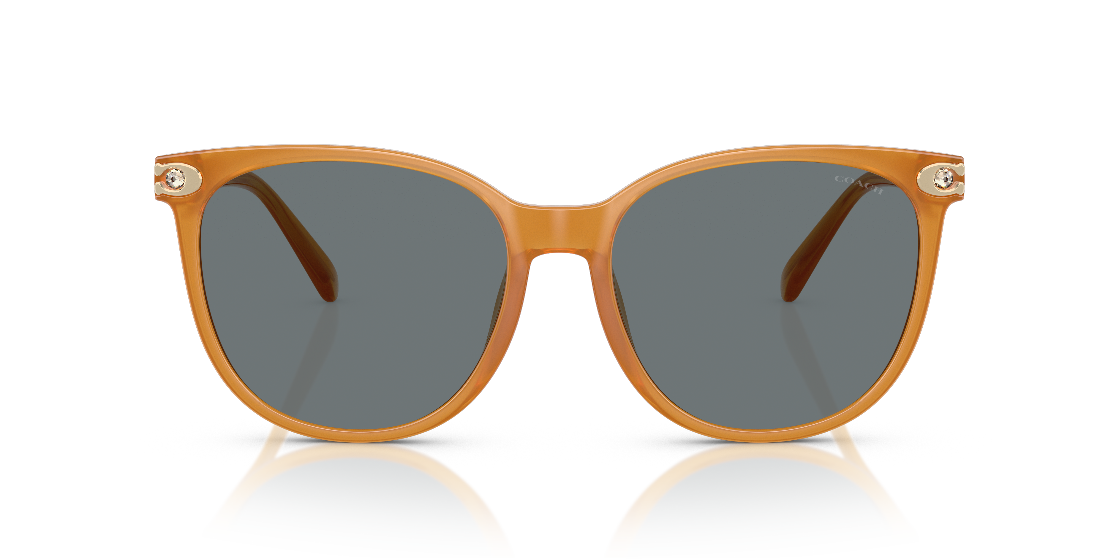 Coach HC8414BD CW428 Round Sunglasses - Milky Buff