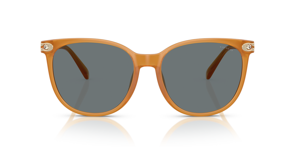 Coach HC8414BD CW428 Round Sunglasses - Milky Amber