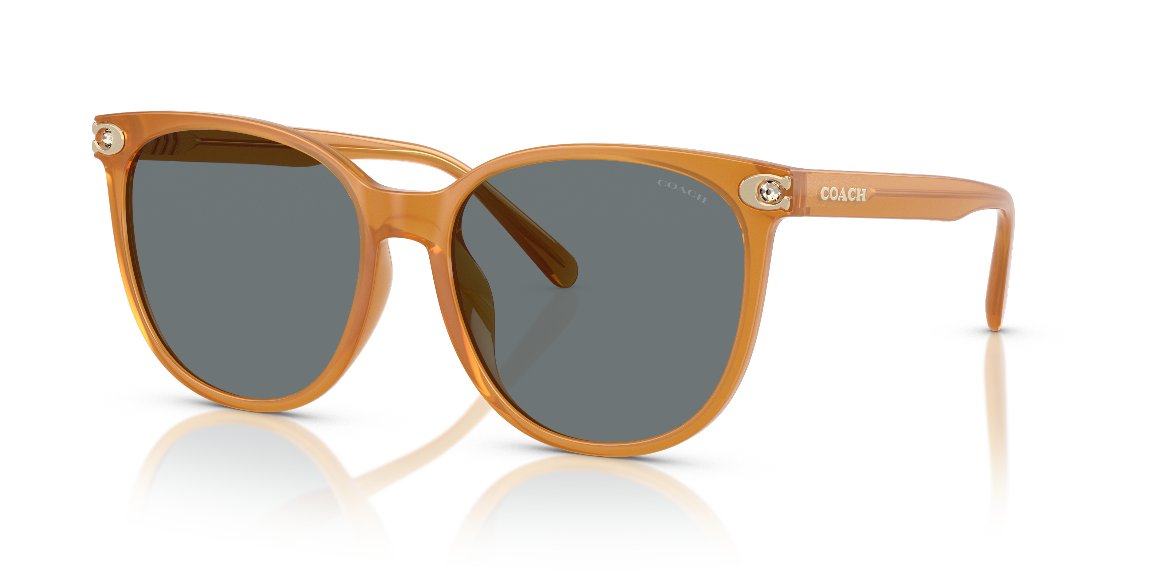 Coach HC8414BD CW428 Round Sunglasses - Milky Buff