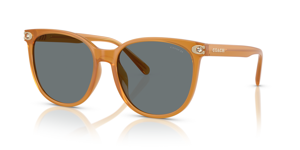Coach HC8414BD CW428 Round Sunglasses - Milky Amber