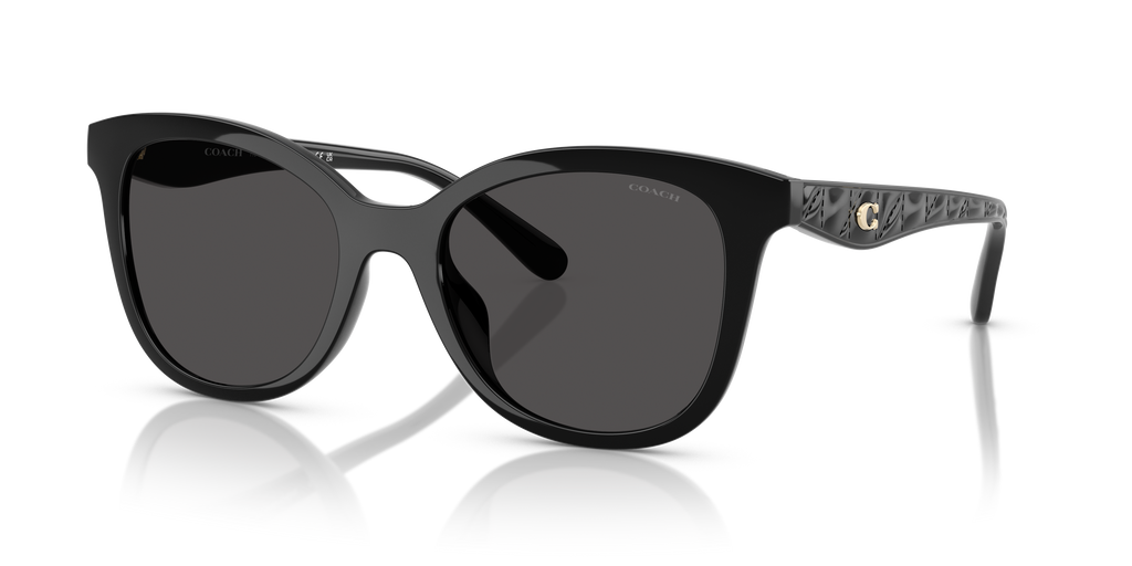 Coach HC8419U CAD25 Square Sunglasses - Black
