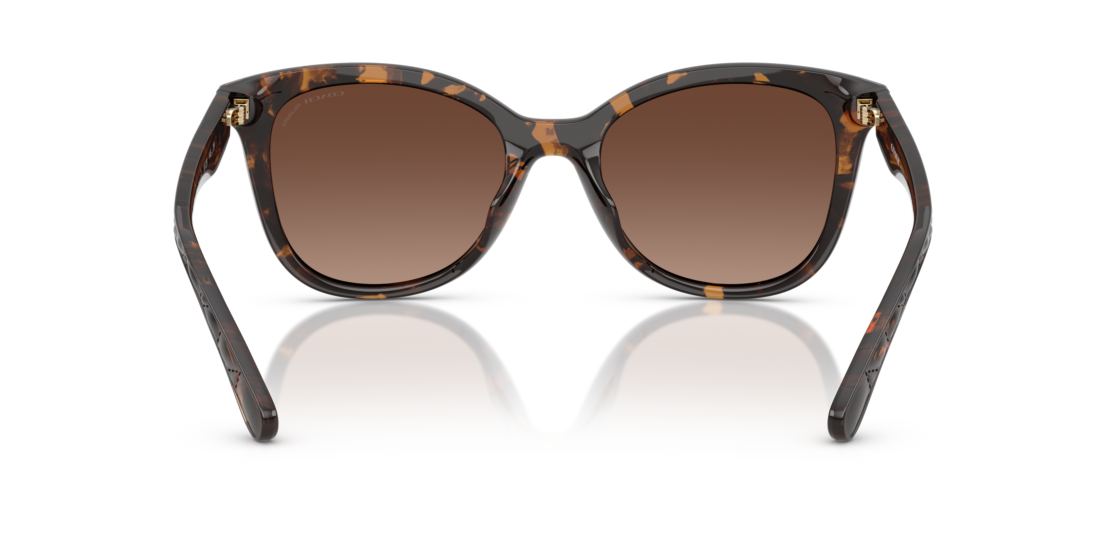 Coach HC8419U CAD25 Square Sunglasses - Dark Tortoise