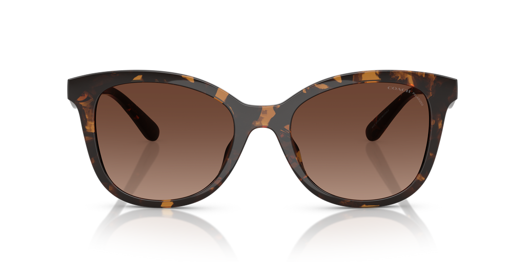 Coach HC8419U CAD25 Square Sunglasses - Dark Tortoise