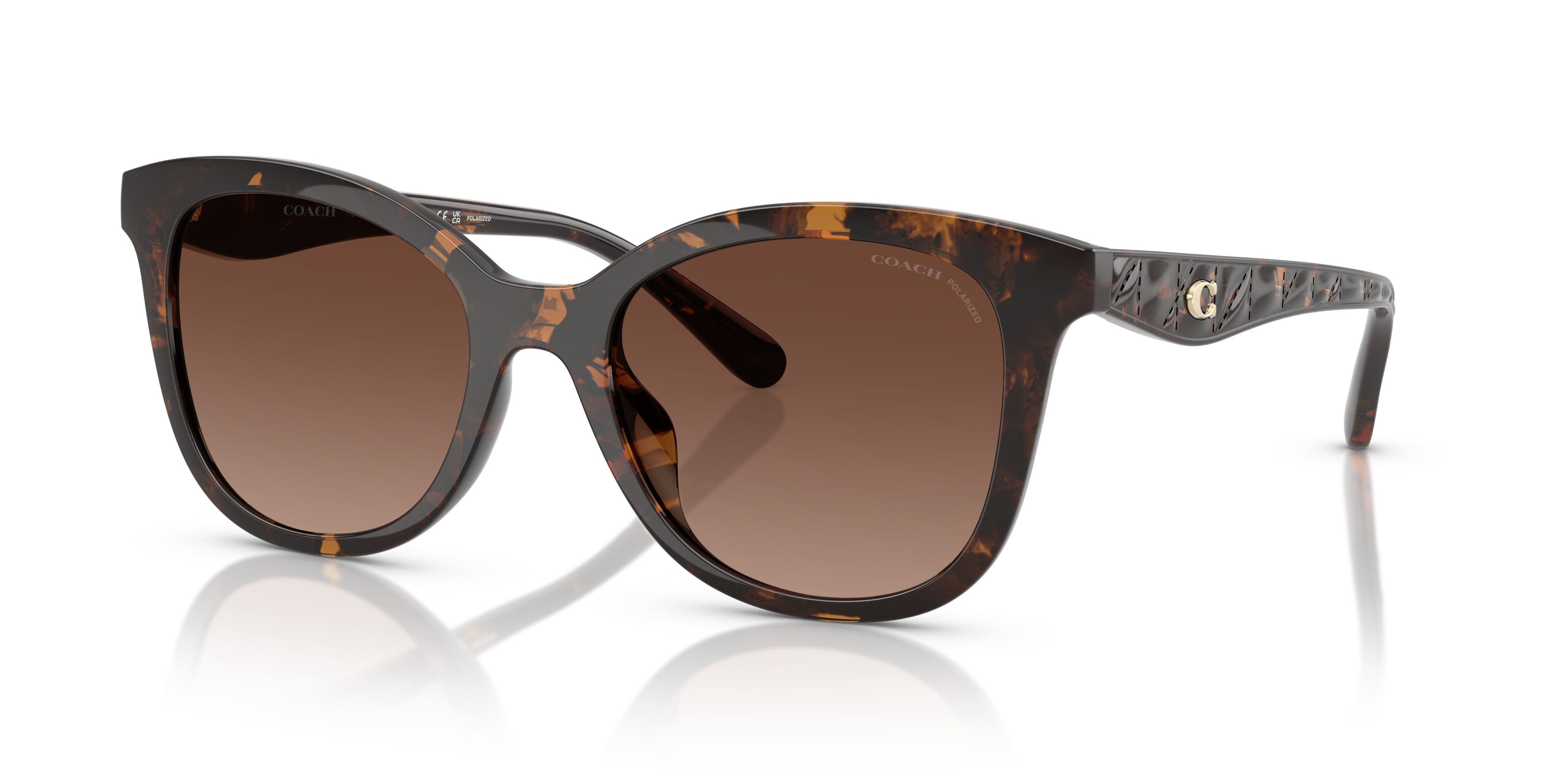 Coach HC8419U CAD25 Square Sunglasses - Black