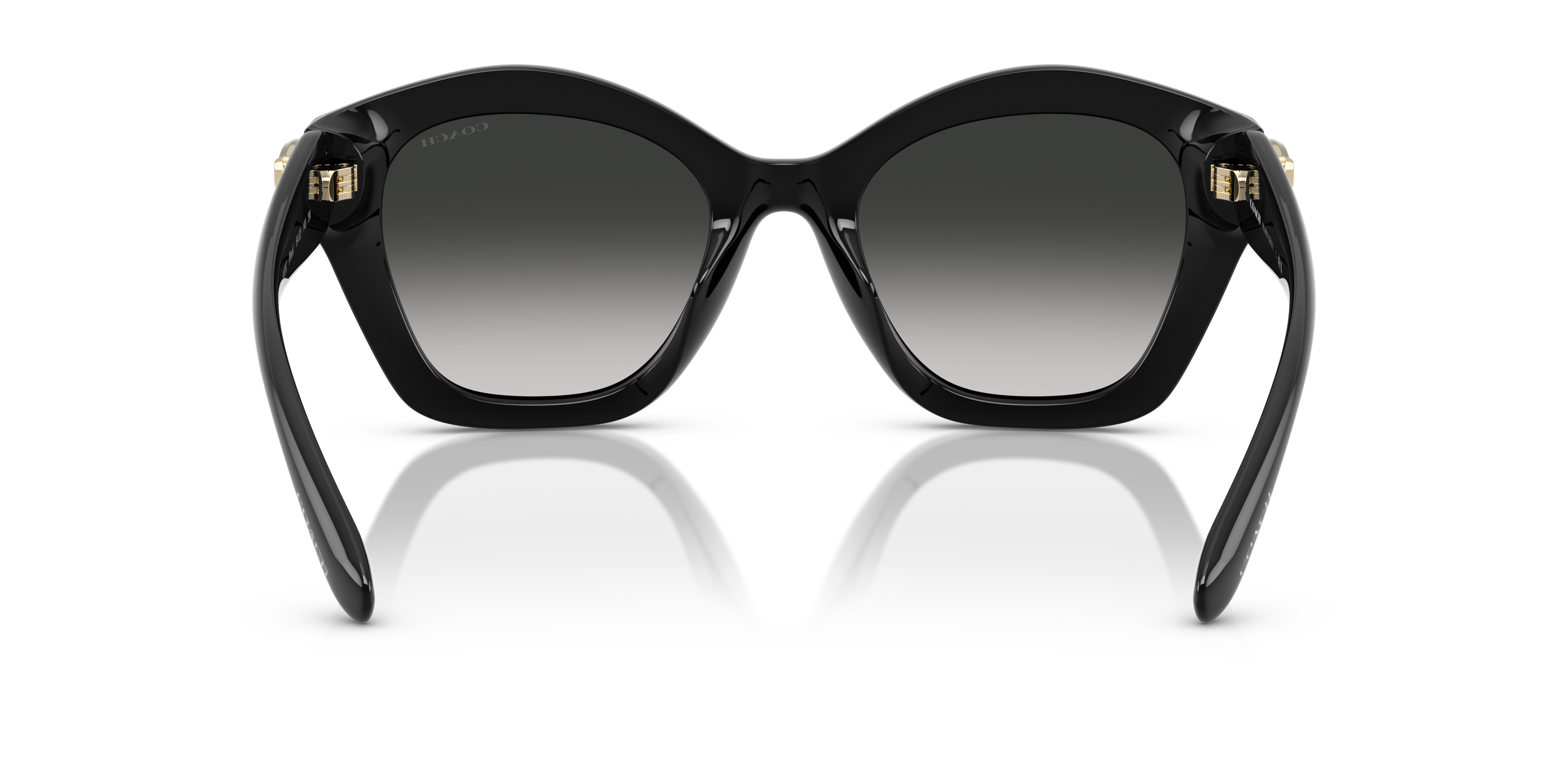 Coach HC8421U CAD31 Geometric Sunglasses - Black