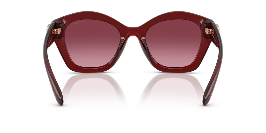 Coach HC8421U CAD31 Geometric Sunglasses - Black