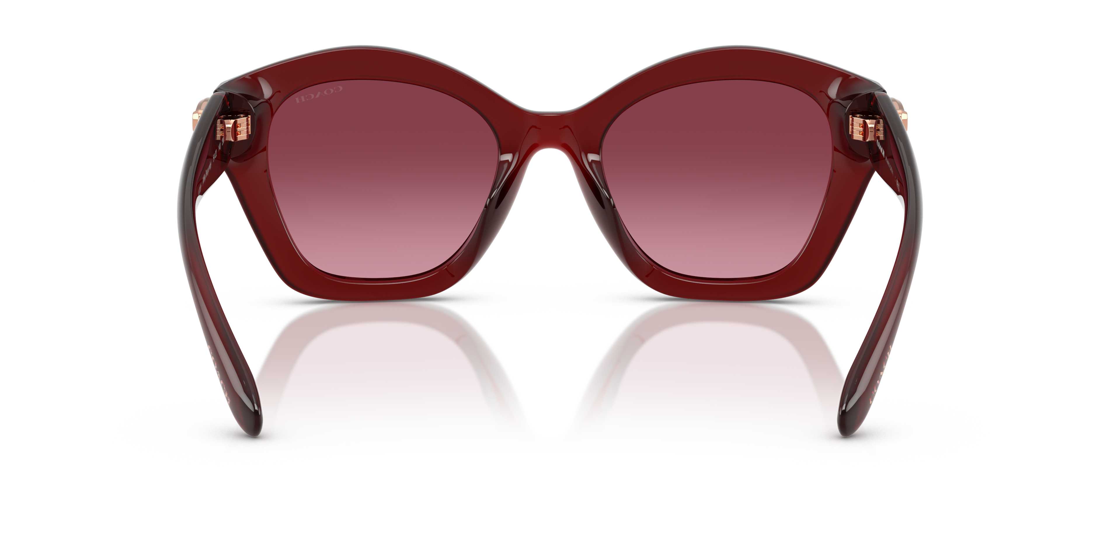 Coach HC8421U CAD31 Geometric Sunglasses - Black