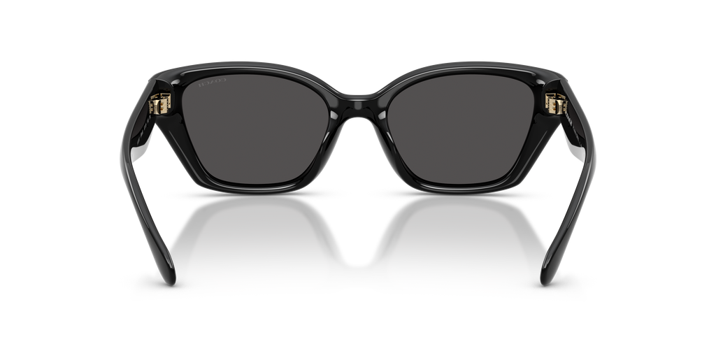 Coach HC8434U CBY91 Geometric Sunglasses - Milky Putty