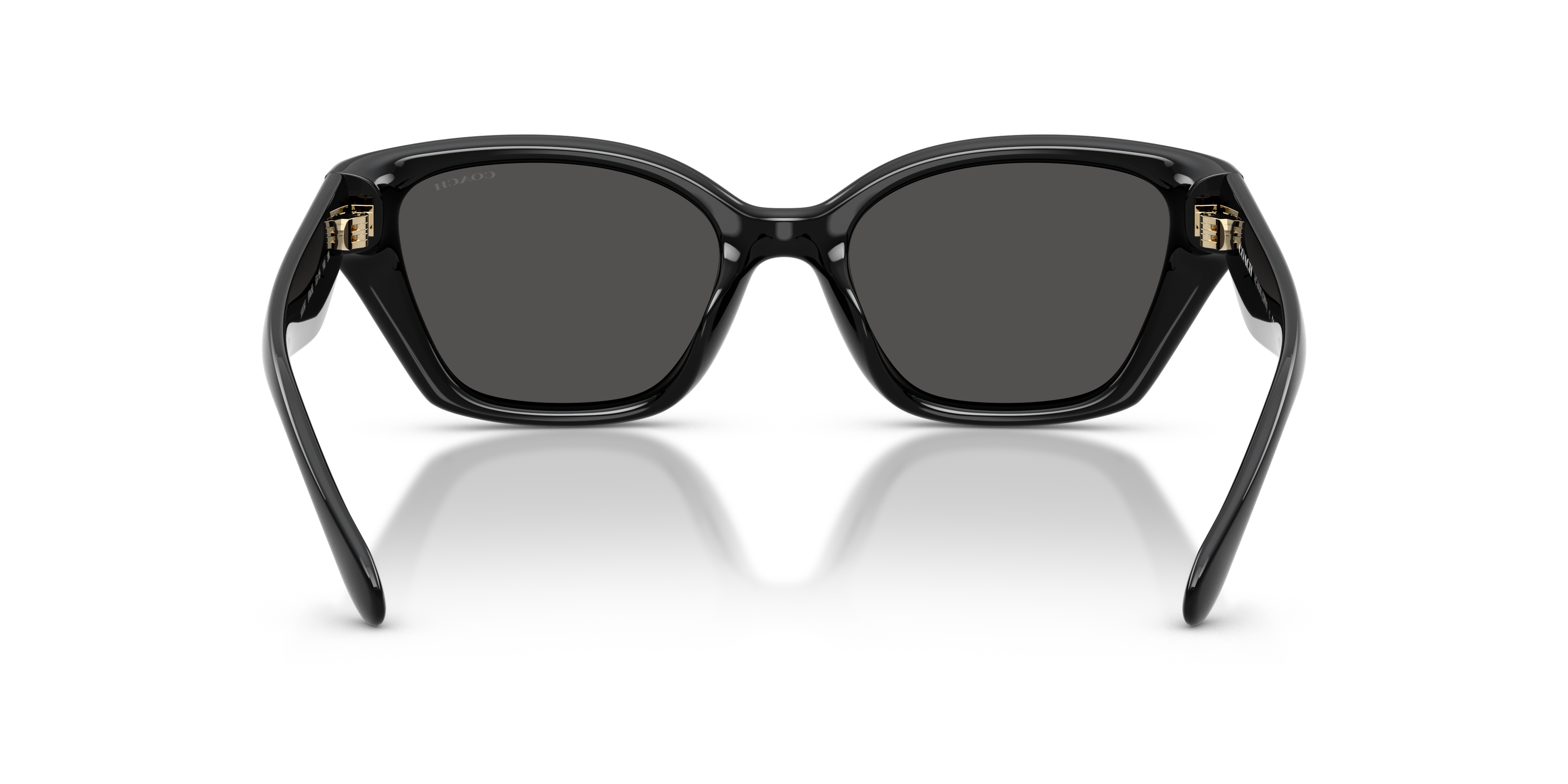Coach HC8434U CBY91 Geometric Sunglasses - Black