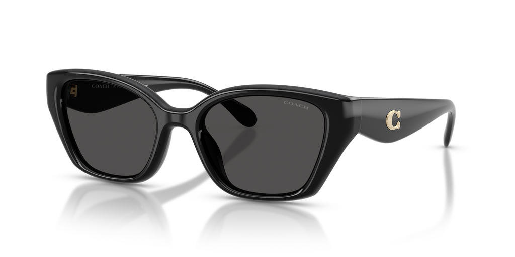 Coach HC8434U CBY91 Geometric Sunglasses - Black