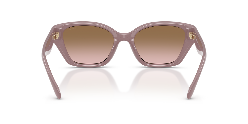 Coach HC8434U CBY91 Geometric Sunglasses - Milky Putty