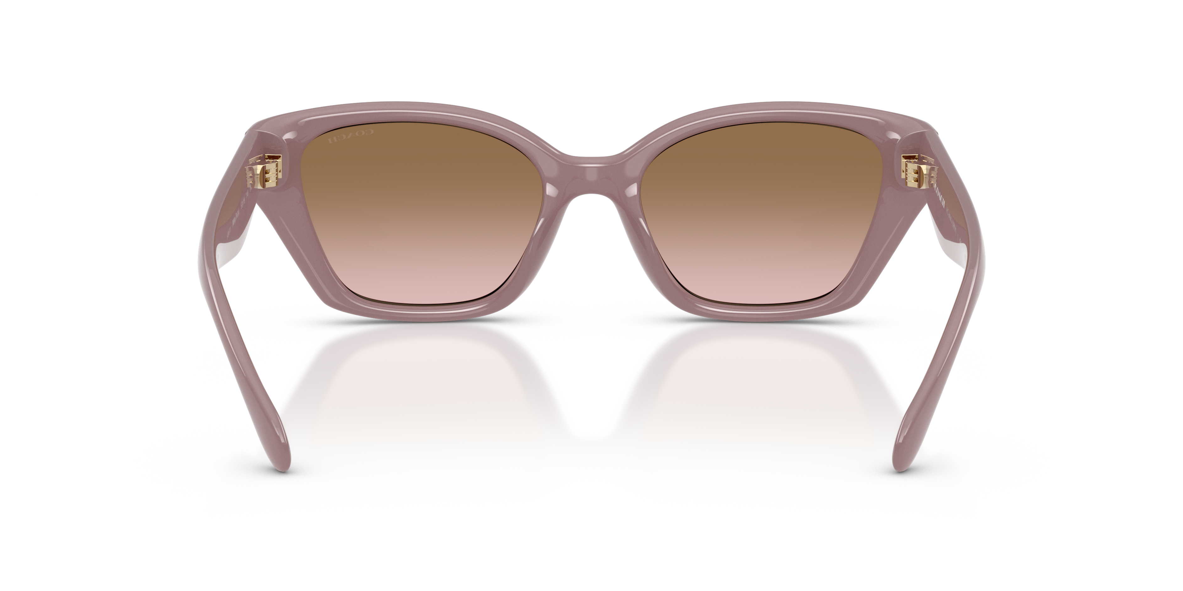 Coach HC8434U CBY91 Geometric Sunglasses - Milky Putty