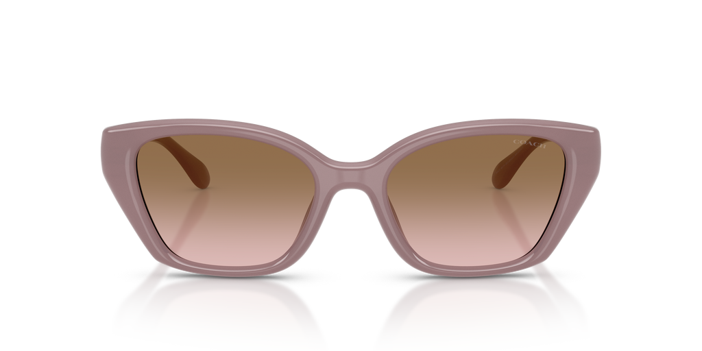 Coach HC8434U CBY91 Geometric Sunglasses - Milky Putty