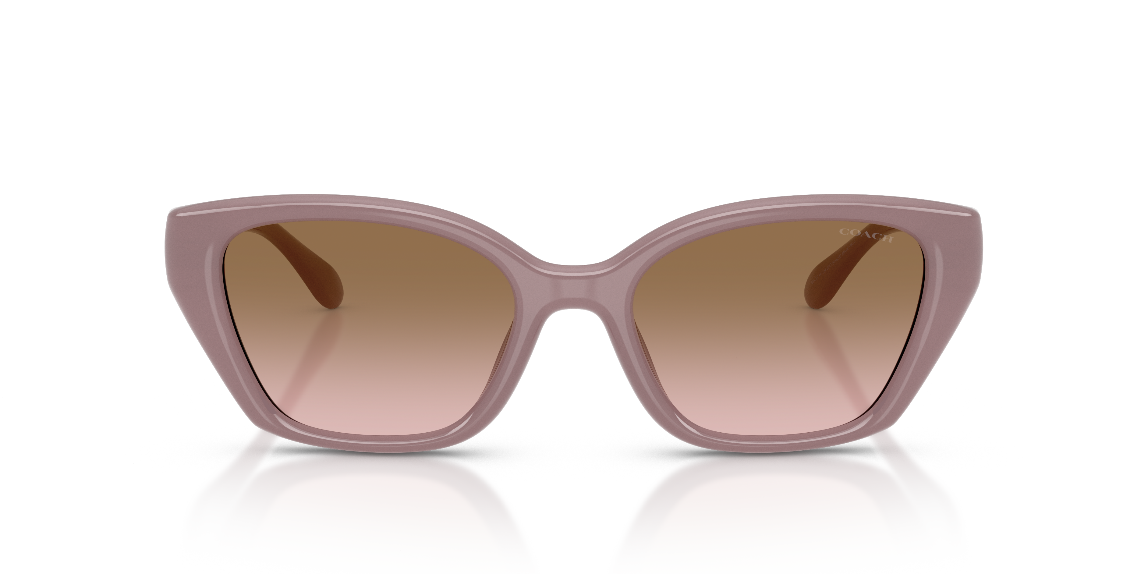 Coach HC8434U CBY91 Geometric Sunglasses - Milky Putty