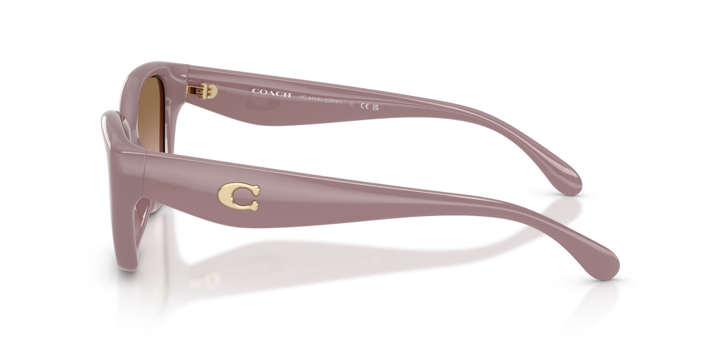 Coach HC8434U CBY91 Geometric Sunglasses - Milky Putty