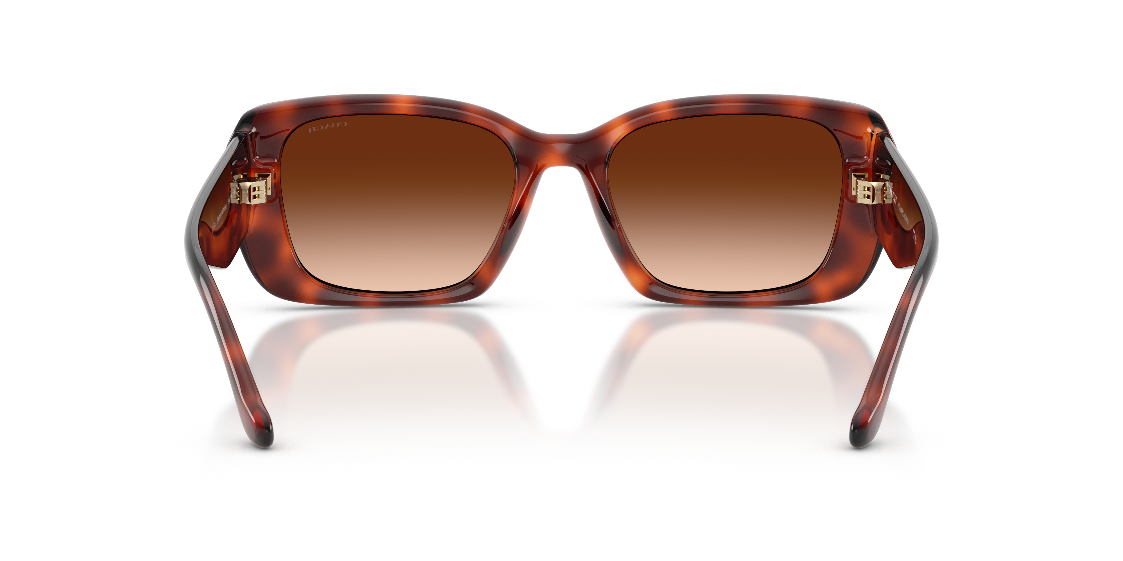 Coach HC8435U CBY82 Square Sunglasses - Caramel Tortoise