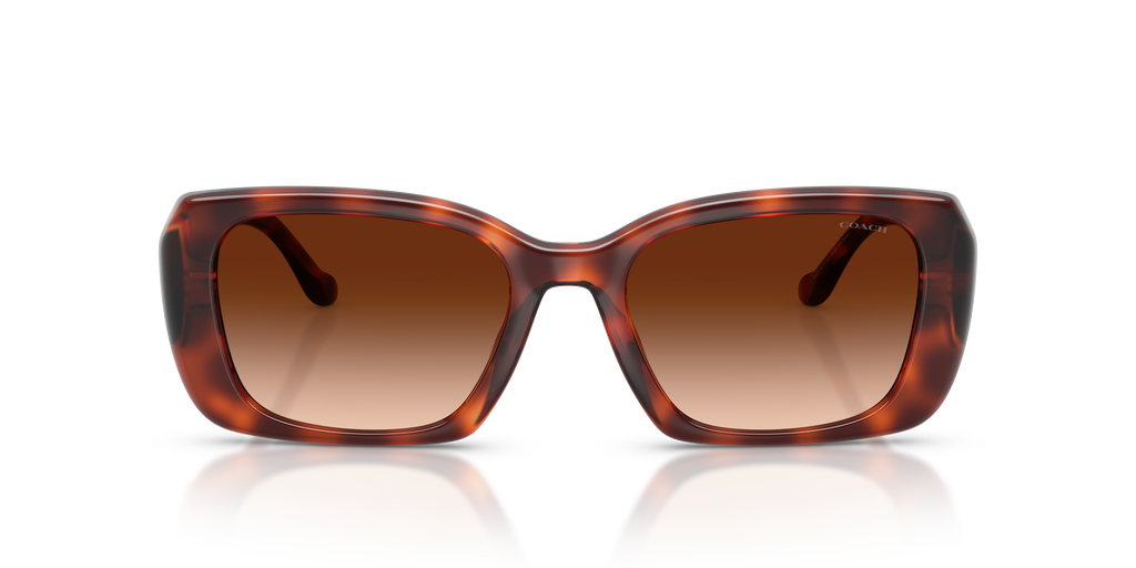 Coach HC8435U CBY82 Square Sunglasses - Milky Merlot