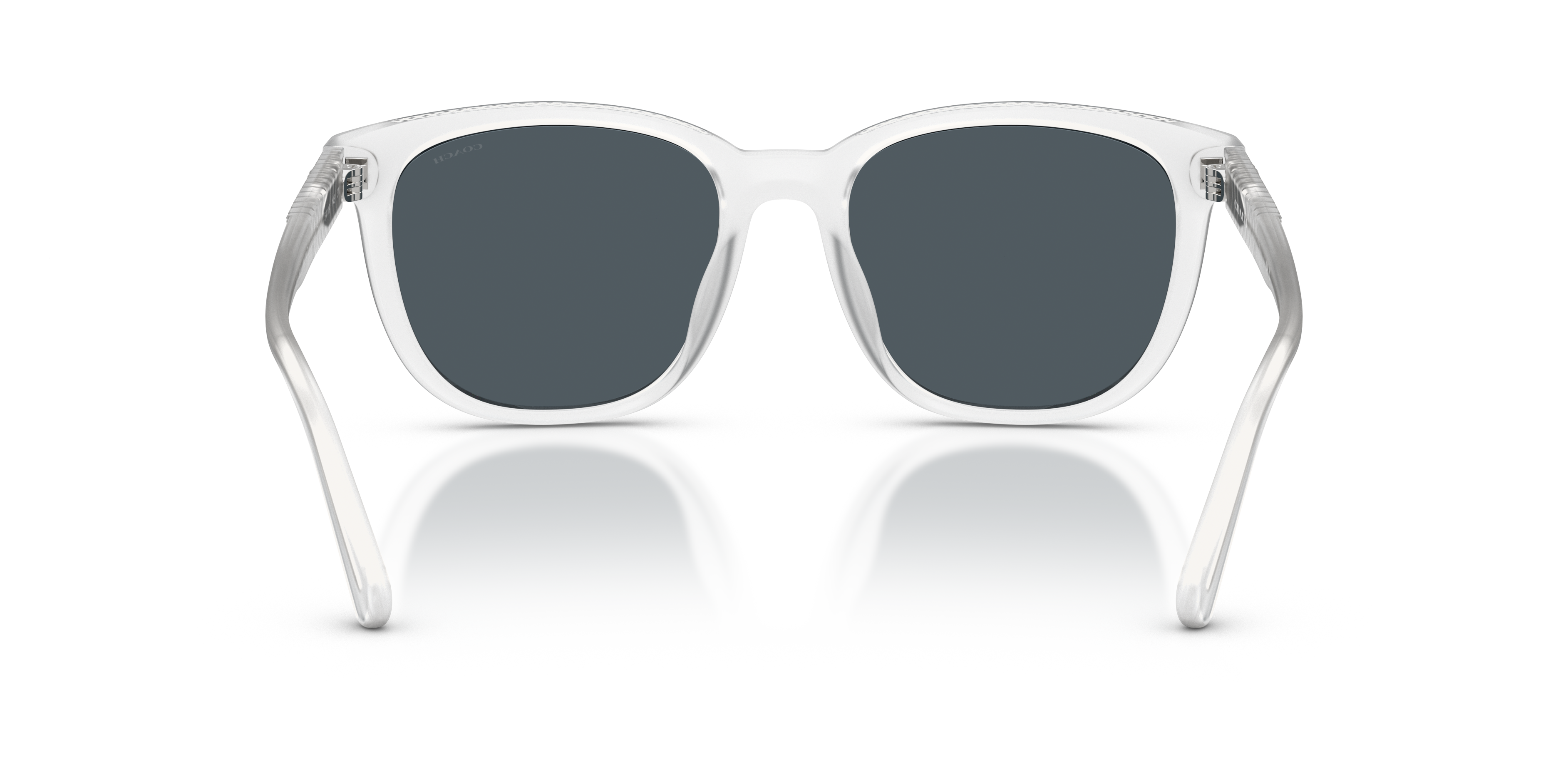 Coach HC8442U CCA00 Square Sunglasses - Matte Transparent Brown