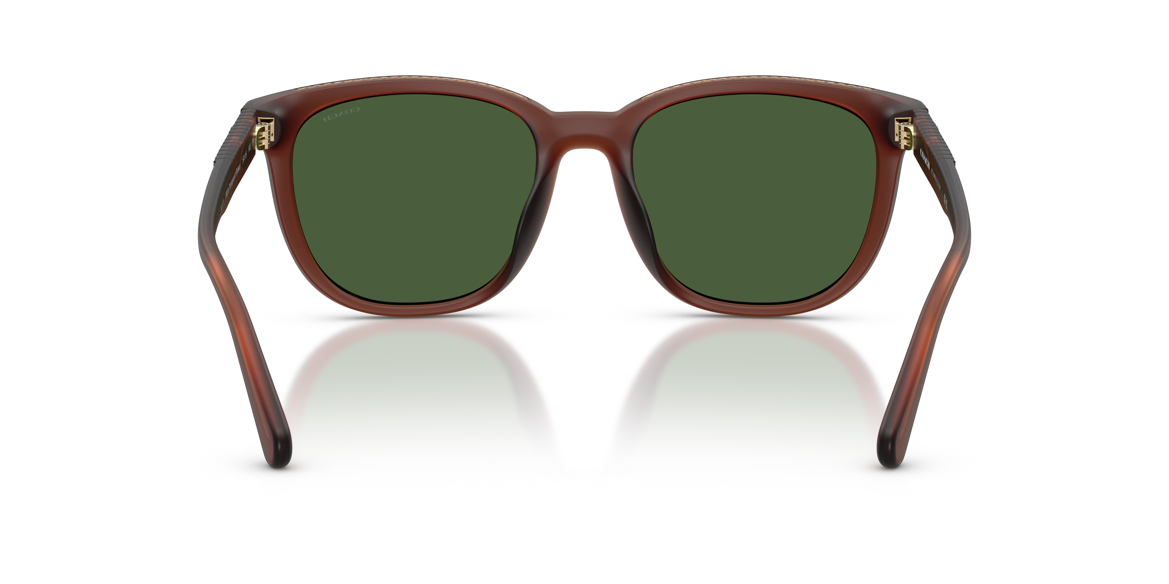 Coach HC8442U CCA00 Square Sunglasses - Matte Transparent Brown