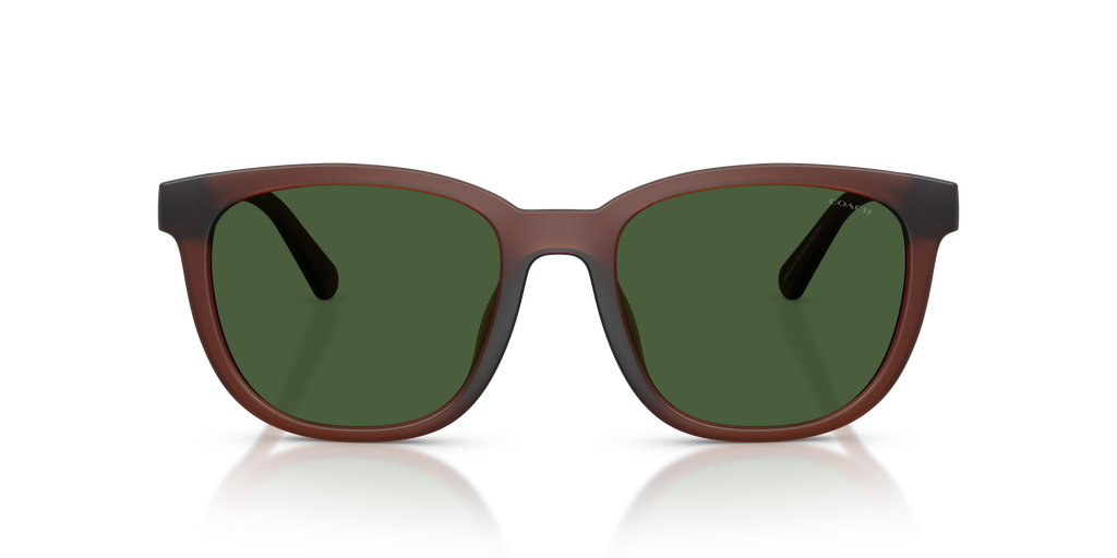 Coach HC8442U CCA00 Square Sunglasses - Matte Transparent Brown