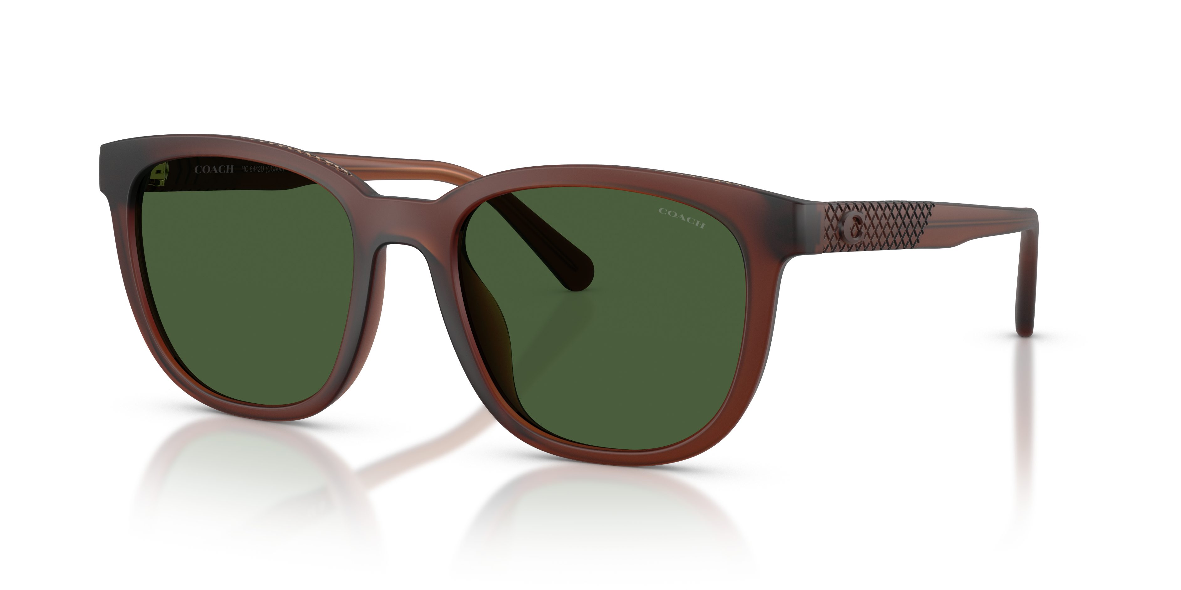 Coach HC8442U CCA00 Square Sunglasses - Matte Transparent Brown