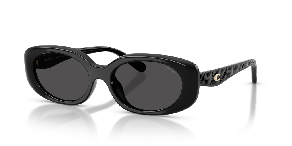 Coach HC8443D CBY84 Oval Sunglasses - Black
