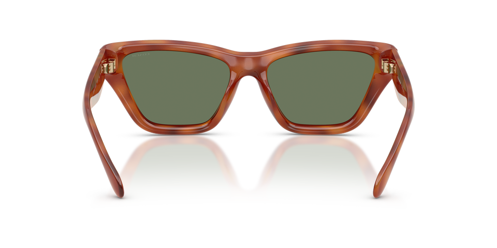 Coach HC8449U CDP33 Cat Eye Sunglasses - Caramel Tortoise