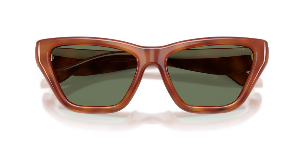 Coach HC8449U CDP33 Cat Eye Sunglasses - Black