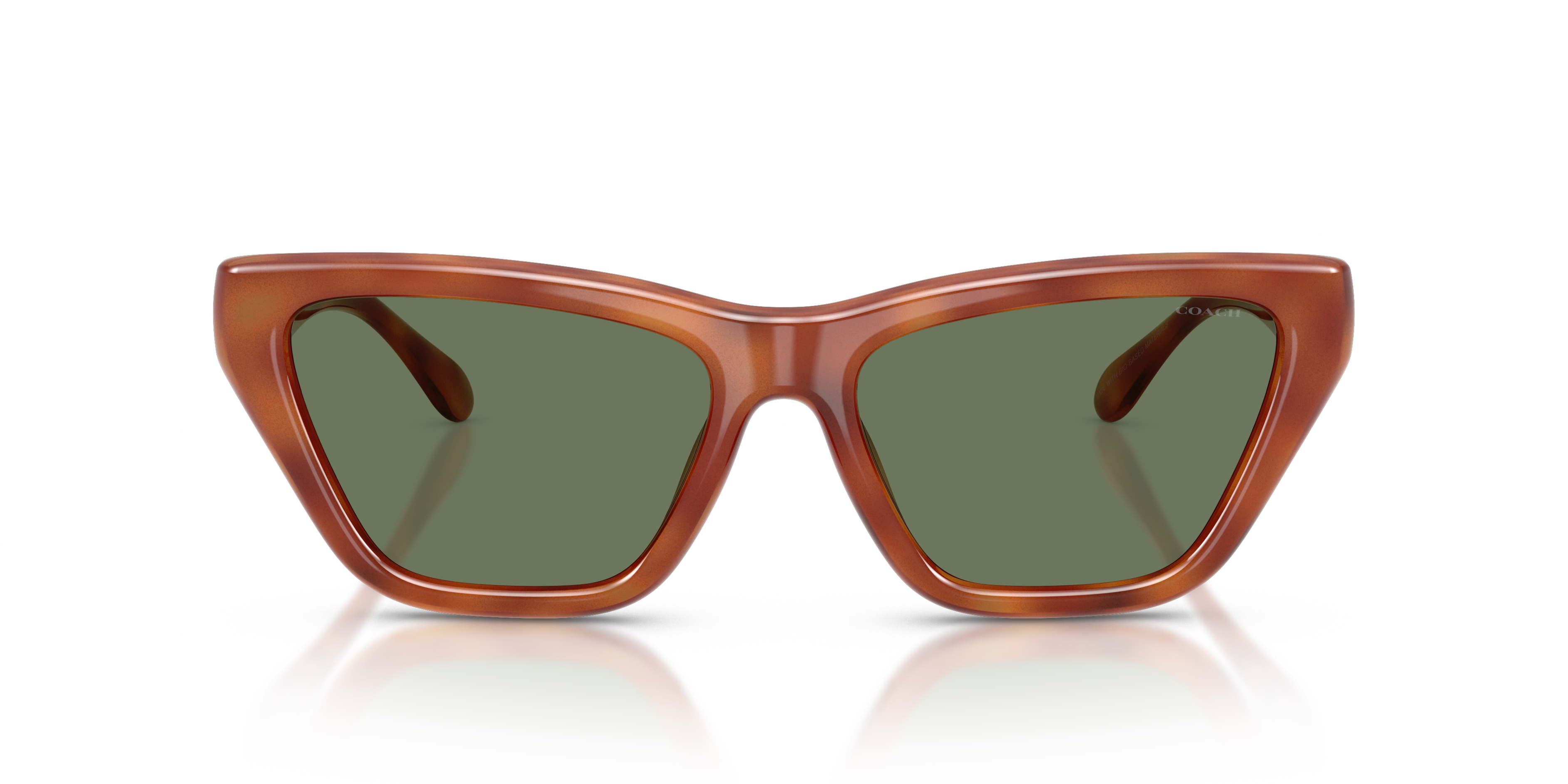 Coach HC8449U CDP33 Cat Eye Sunglasses - Black