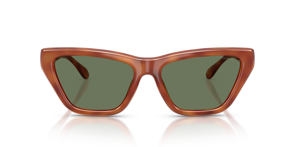 Coach HC8449U CDP33 Cat Eye Sunglasses - Caramel Tortoise