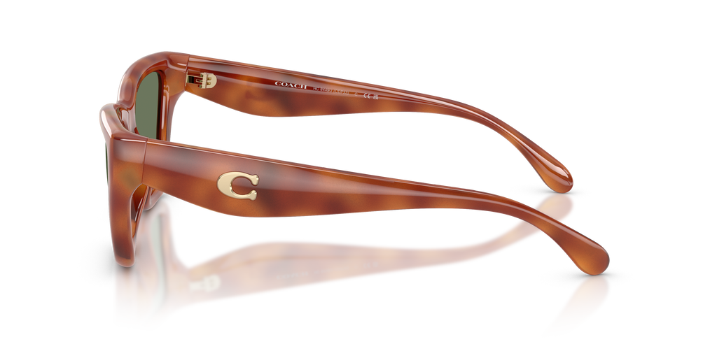Coach HC8449U CDP33 Cat Eye Sunglasses - Caramel Tortoise
