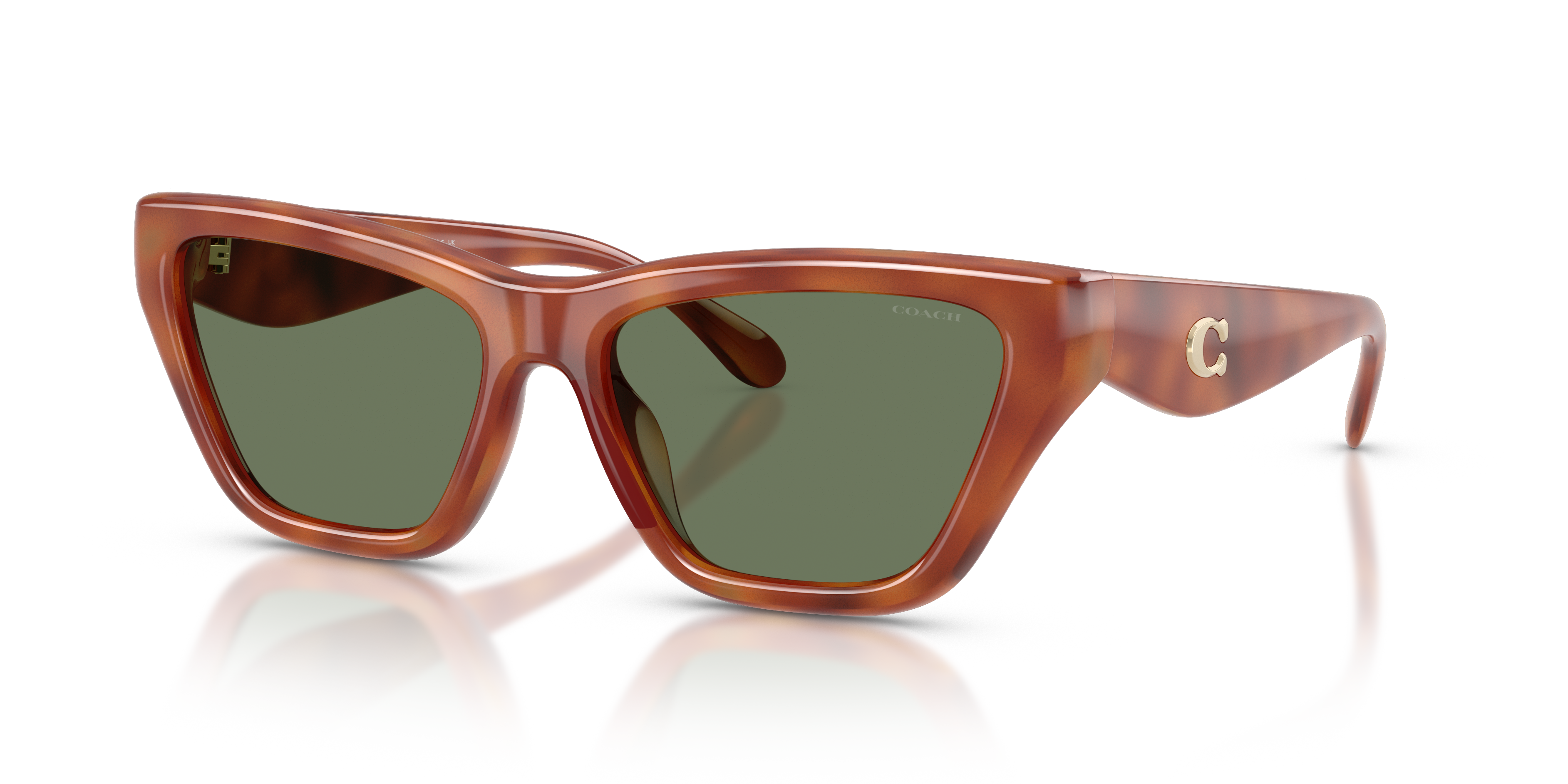 Coach HC8449U CDP33 Cat Eye Sunglasses - Caramel Tortoise