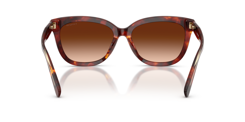 Coach HC8453U CDP53 Square Sunglasses - Walnut Tortoise